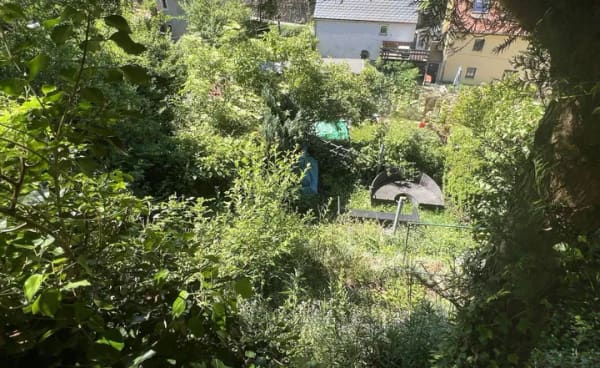 Immobilie in Bad Gottleuba-Berggießhübel - Sanierungsobjekt für Liebhaber in ruhiger Wohnlage von Bad Gottleuba-Berggießhübel - Bild 1