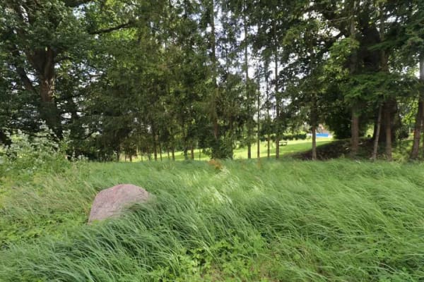 Immobilie in Behren-Lübchin - Ihr zukünftiges Zuhause zum Fertigstellen – Doppelhaushälfte ohne Innenausbau - Bild 4