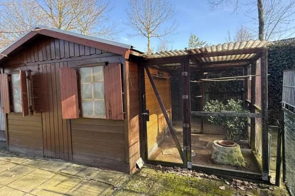 Immobilie in Sittensen - Wohnen auf einer Ebene - Ihr neues Zuhause wartet - Bild 4