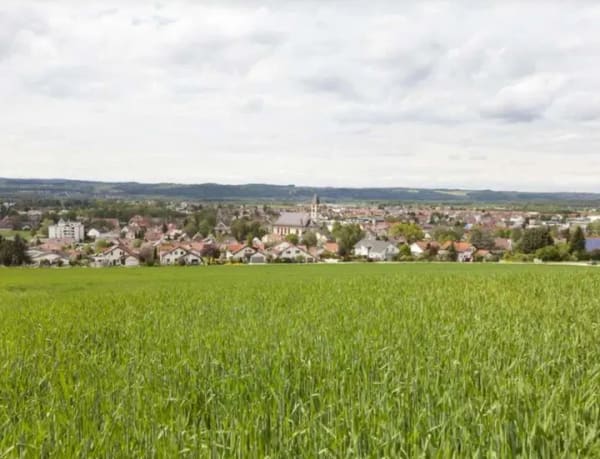 Immobilie in Baienfurt - Schönes MGH mit viel Potenzial, großem Grundstück im Grünen. VB! - Bild 0