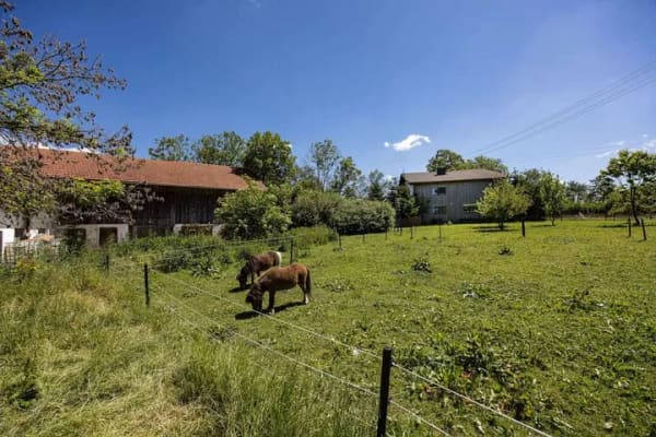 Immobilie in Günzach - Einfamilienhaus in ländlicher Idylle - auch für Pferdelieberhaber - Bild 1