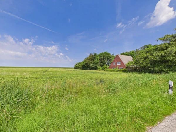 Immobilie in Osterhever - Nordseenahes Einfamilienhaus mit großem Grundstück - Deich in wenigen Minuten erreichbar - Bild 2