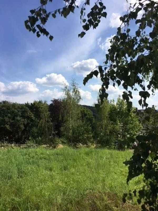 Immobilie in Großrückerswalde - ZUHAUSE IST LEBENSGLÜCK UND KINDERLACHEN - BAUEN SIE IHR EIGENES HAUS MIT GARTEN!                    - Bild 1