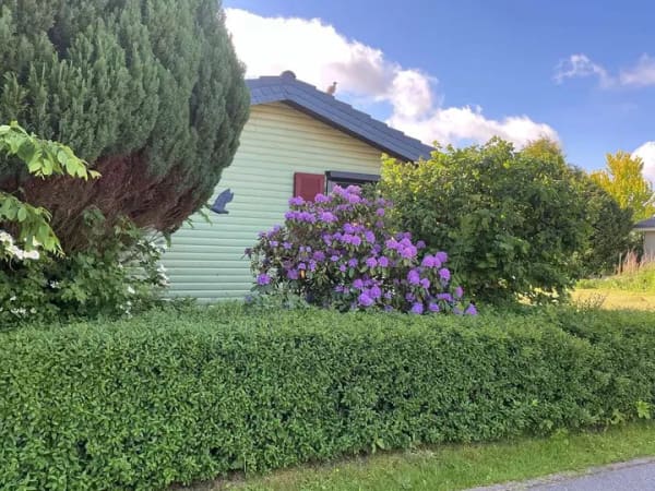Immobilie in Hennstedt - Ankommen und Durchatmen I Wochenendbungalow auf zwei Grundstücken in Eidernähe von Hennstedt/Horst - Bild 3