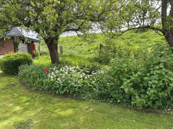 Immobilie in Hennstedt - Ankommen und Durchatmen I Wochenendbungalow auf zwei Grundstücken in Eidernähe von Hennstedt/Horst - Bild 4