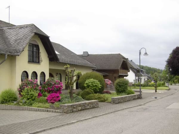 Immobilie in Blankenrath - Großzügiges Einfamilienhaus mit großem Hof und möglicher Einliegerwohnung - Bild 1