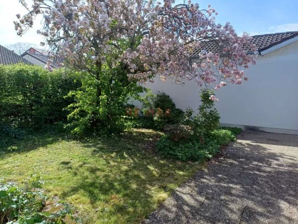 Immobilie in Weinheim - **** Charmantes Wohnen zum BEZAHLBAREN Preis auf Erbbaugrundstück! **** - Bild 2