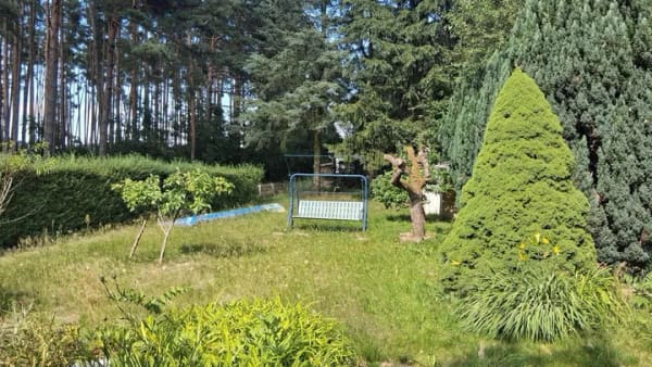 Immobilie in Tangerhütte - Sommerbungalow Nähe Angelteich - Bild 3