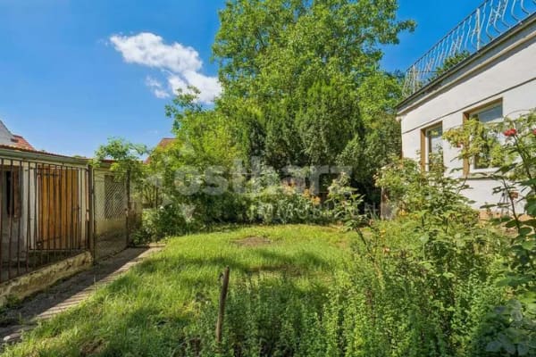 Immobilie in Falkenstein/Harz - Ein Haus mit Charme, ein idyllischer Garten und eine ruhige Lage… - Bild 4