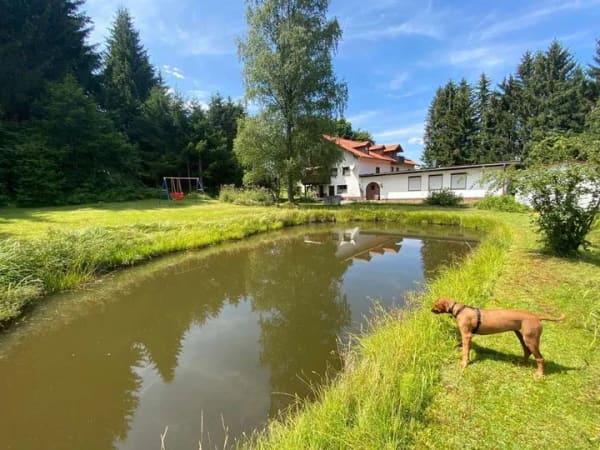 Immobilie in Neureichenau - Ohne viel Eigenkapital zum Eigenheim - Bild 0