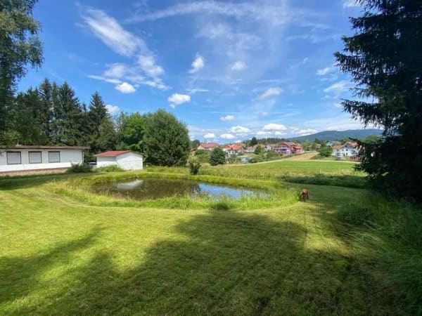 Immobilie in Neureichenau - Ohne viel Eigenkapital zum Eigenheim - Bild 1