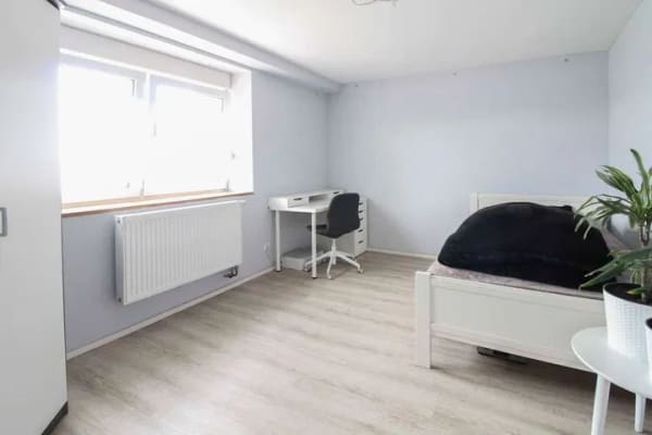 Immobilie in Wettin-Löbejün - Privatsphäre & viele Möglichkeiten -Haus in Alleinlage mit großem Grundstück zw. Merbitz und Löbejün - Bild 3