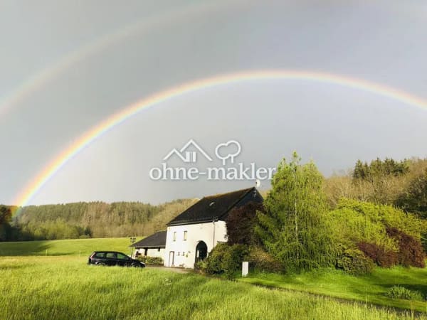 Immobilie in Geisfeld - Ehemalige Mühle im Tal der Kleinen Dhron - Bild 1
