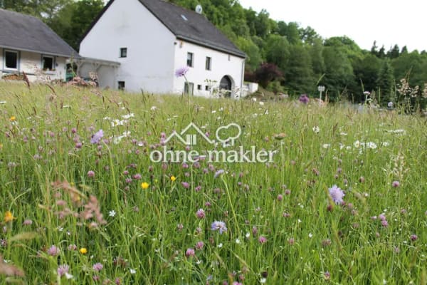 Immobilie in Geisfeld - Ehemalige Mühle im Tal der Kleinen Dhron - Bild 2
