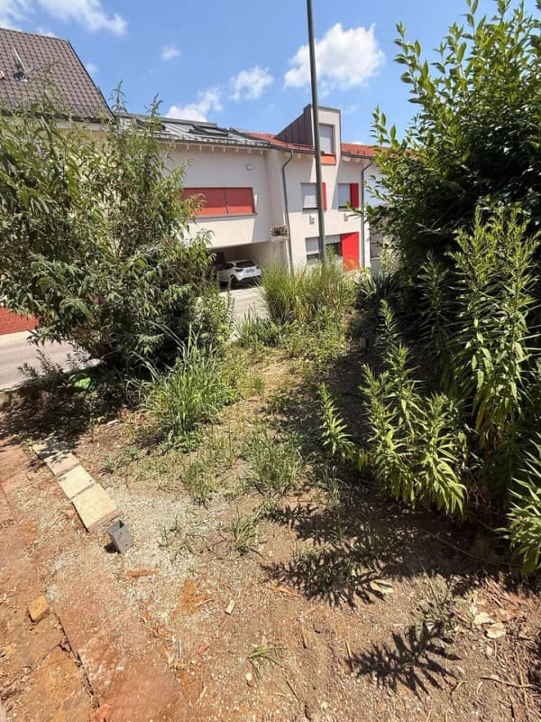 Immobilie in Vilsbiburg - Kleines Stadthaus mit viel Potential in guter Lage - Bild 3