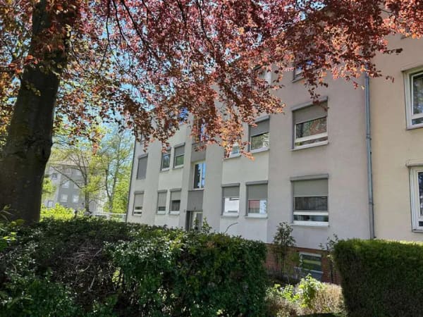 Immobilie in Salzgitter - Erste eigene Wohnung 1- Zimmer- Wohnung in Salzgitter Krähenriede - Bild 0