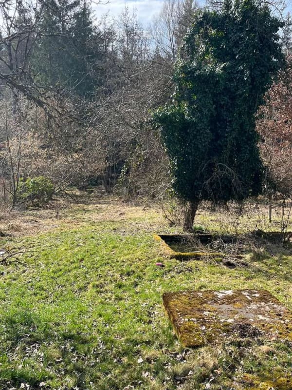 Immobilie in Kirchseeon - freistehendes 7 Zimmer EFH auf großem Grundstück mit Baurechtreserve// sofort beziehbar//provisionsf - Bild 2
