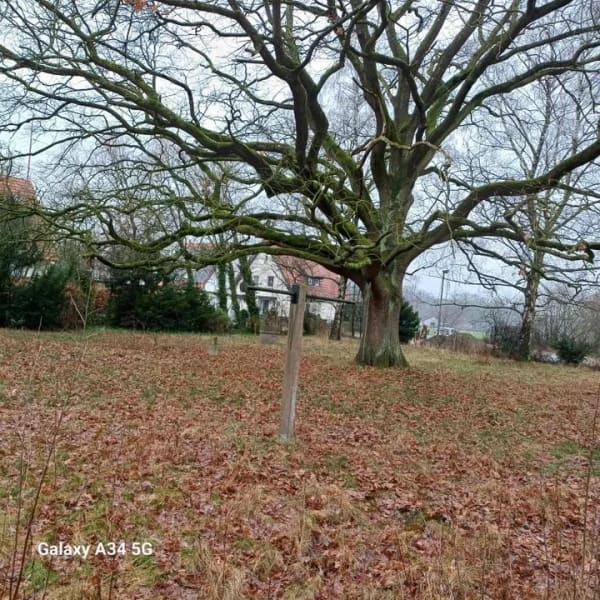 Immobilie in Bünde - Einfamilienhaus freistehend in Bünde (Bünde-Mitte) - Bild 3