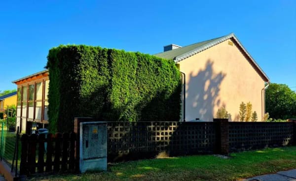 Immobilie in Osternienburger Land - Einfamilienwohnhaus mit gepflegtem Grundstück in ruhiger Wohnlage - Bild 1