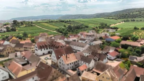 Immobilie in Kallstadt - RAUM & POTENZIAL | KALLSTADT - Bild 2