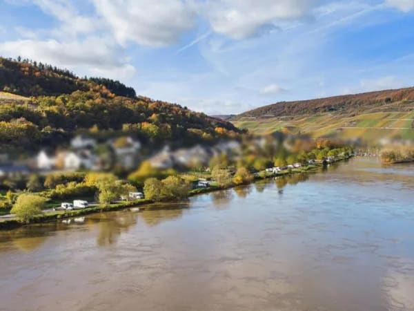 Immobilie in Zell (Mosel) - Reihenhaus in Zell (Mosel) - Bild 3