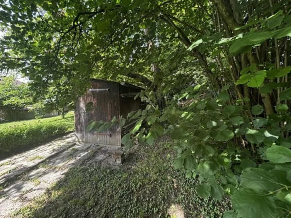 Immobilie in Schwaigern - Mehrfamilienhaus in Schwaigern - Bild 3