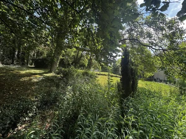 Immobilie in Schwaigern - Mehrfamilienhaus in Schwaigern - Bild 4