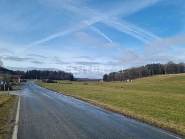Immobilie in Rechtmehring - Schöner leben mit Tieren: Haushälfte mit eingezäunter Weide und Neubaupotential! - Bild 1