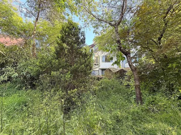 Immobilie in Großerlach - Bezahlbares Einfamilienhaus mit Garten in Großerlach sucht Großfamilie - Bild 4