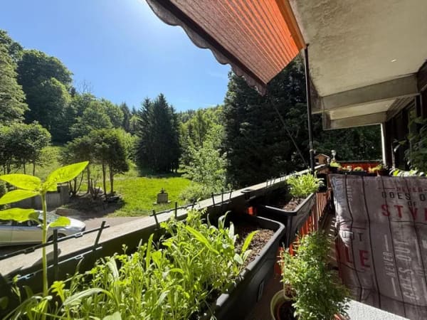 Immobilie in Sasbachwalden - Wohnung in Sasbachwalden - Bild 0