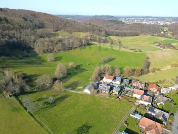 Immobilie in Mühltal - Ruhiges Familienparadies am Feldrand mit ebenerdiger Einliegerwohnung - Bild 3