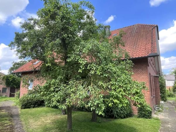 Immobilie in Stolzenau - Großzügiges Wohnhaus mit Ausbaureserven in gesuchter dörflicher Lage! - Bild 4