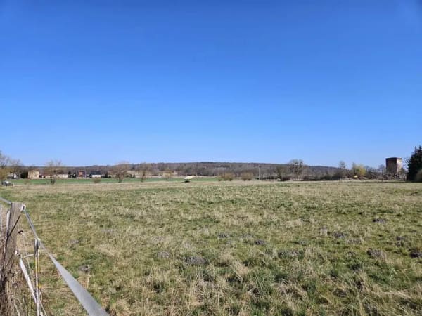Immobilie in Grasleben - Für alle, die es großzügig lieben. Ihr Familienhaus im kommenden Baugebiet in Grasleben. - Bild 3