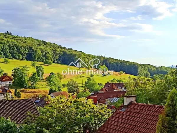 Immobilie in Inzlingen - Gemütliche 2-Zimmer-Wohnung in Inzlingen, mit schönem Blick auf Basel, provisionsfrei - Bild 1