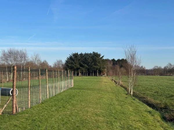 Immobilie in Leezdorf - Mit Waldgrundstück, 2 Häuser = 1 Preis, in ländlicher Lage zu verkaufen! - Bild 0
