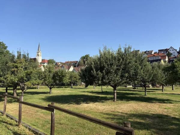 Immobilie in Tübingen - In Lustnau´s grüner Lunge - Bild 0