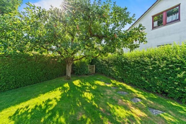 Immobilie in Aulendorf - Großzügiges Einfamilienhaus mit malerischem Garten - Bild 2