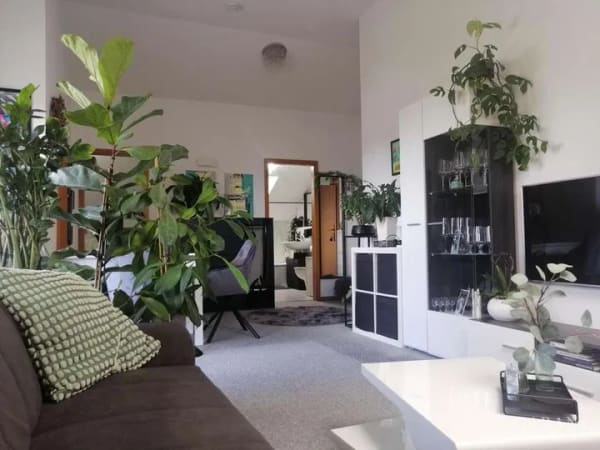 Immobilie in Ilsfeld - Stilvolle 2 Zimmer-Wohnung mit traumhaftem Ausblick sucht neuen Vermieter - Bild 3