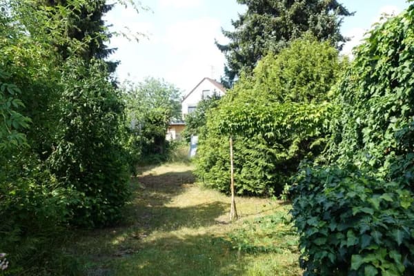 Immobilie in Hainburg - Hainburg: Einfamilienhaus mit großzügigem Grundstück und Garage in ruhiger Lage - Bild 4
