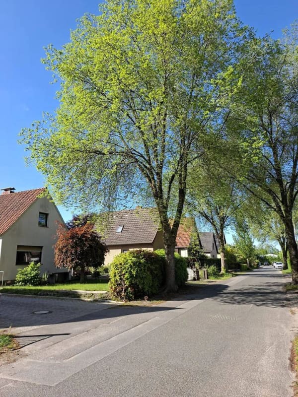 Immobilie in Halstenbek - Einfamilienhaus in einer der ruhigsten Straßen Halstenbeks - direkt an der Grenze zu Hamburg - Bild 0