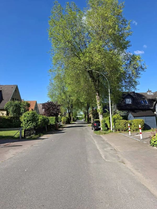 Immobilie in Halstenbek - Einfamilienhaus in einer der ruhigsten Straßen Halstenbeks - direkt an der Grenze zu Hamburg - Bild 1