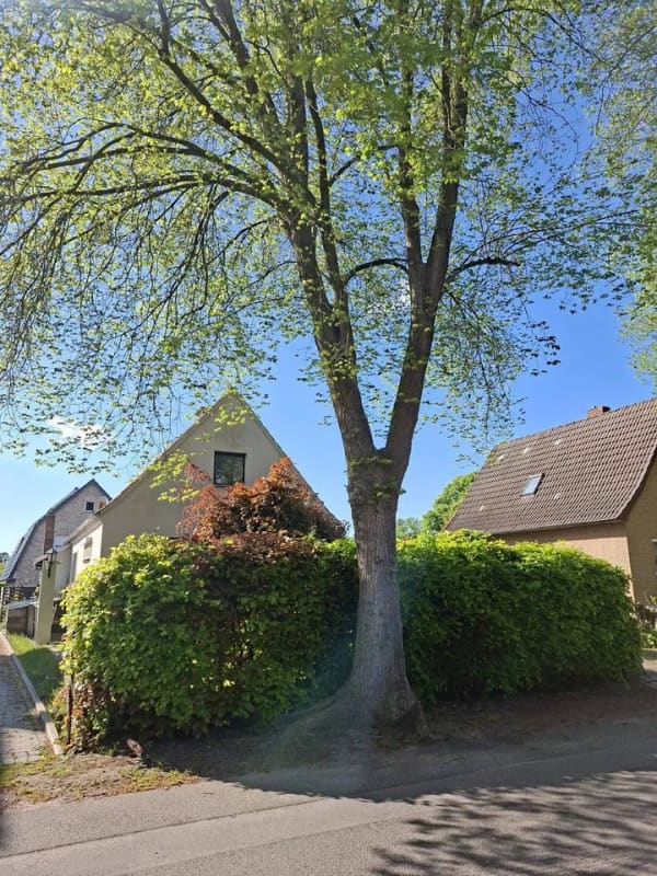 Immobilie in Halstenbek - Einfamilienhaus in einer der ruhigsten Straßen Halstenbeks - direkt an der Grenze zu Hamburg - Bild 4