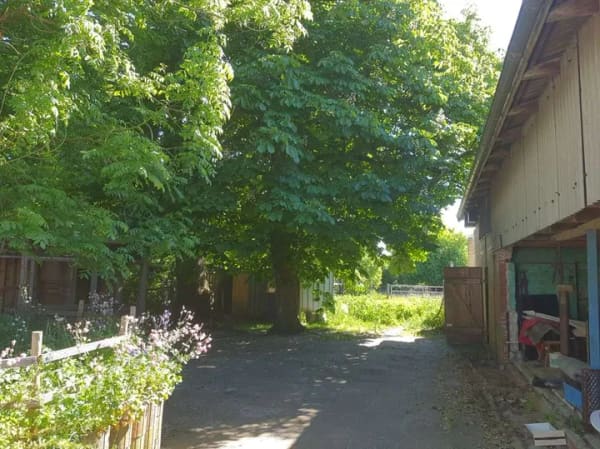 Immobilie in Eggstedt - Ihre Pferde werden es lieben - Bild 0
