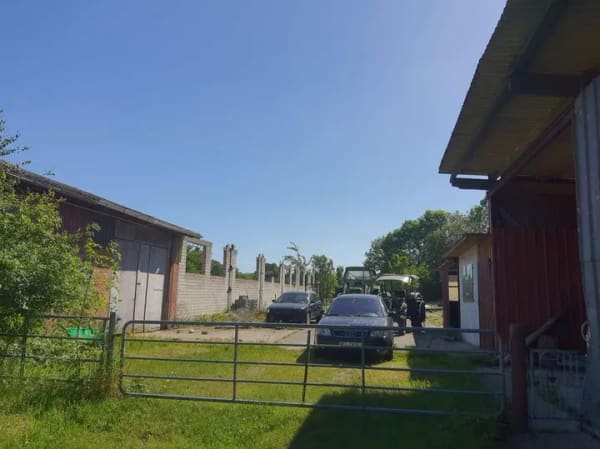 Immobilie in Eggstedt - Ihre Pferde werden es lieben - Bild 1