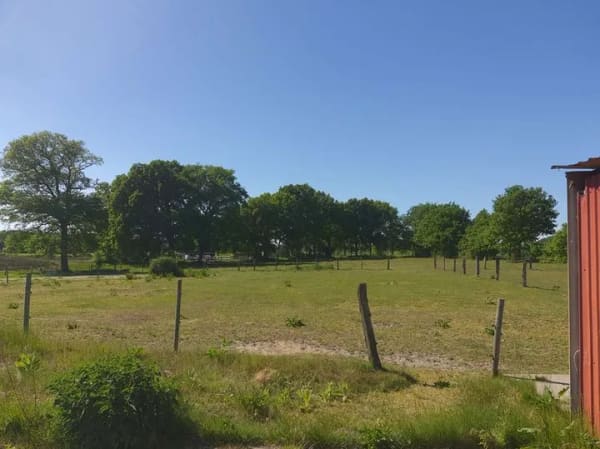 Immobilie in Eggstedt - Ihre Pferde werden es lieben - Bild 3
