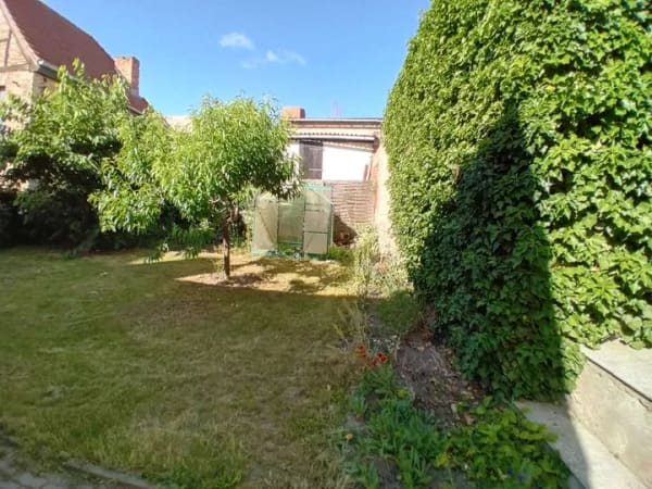 Immobilie in Alsleben - Charmantes Einfamilienhaus mit viel Potenzial - Bild 0