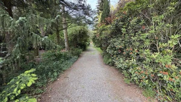 Immobilie in Trebendorf - Trjebin - Leben im Einklang mit der Natur - Bild 4