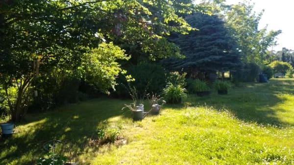 Immobilie in Lütow - Alltagstaugliches Einfamilienhaus mit viel Platz in Lütow - Bild 4