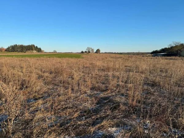 Immobilie in Wiesenburg/Mark - Energieeffizient und elegant - Ihr Eigenheim im Herzen von Wiesenburg / Preis inkl. Grundstück - Bild 4