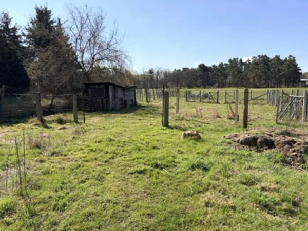 Immobilie in Schilda - Resthof mit anliegenden Grünland - Bild 0